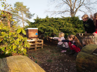 Kinder beim Bienenprojekt Foto und © Kerstin Bragenitz